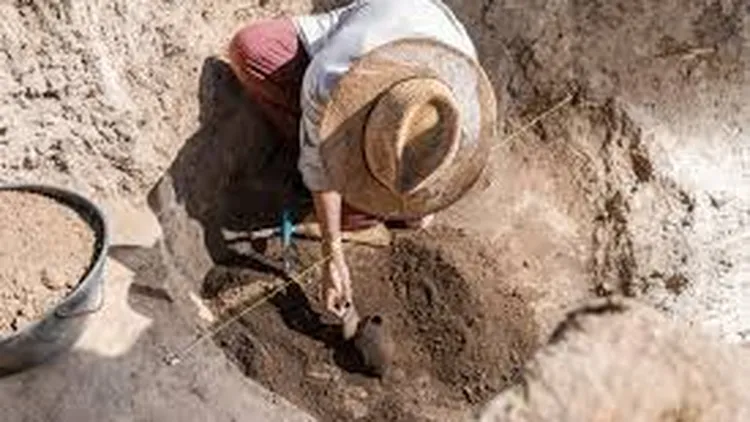 Investigación científica difundida el 19 de febrero.