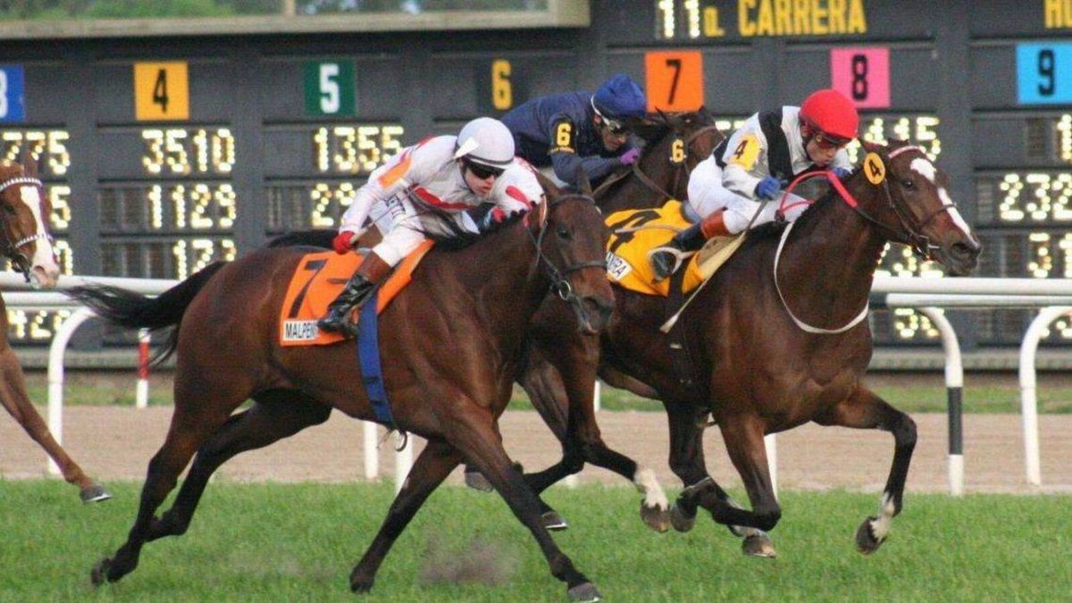 Programa de las carreras de hoy en el Hipódromo de San Isidro