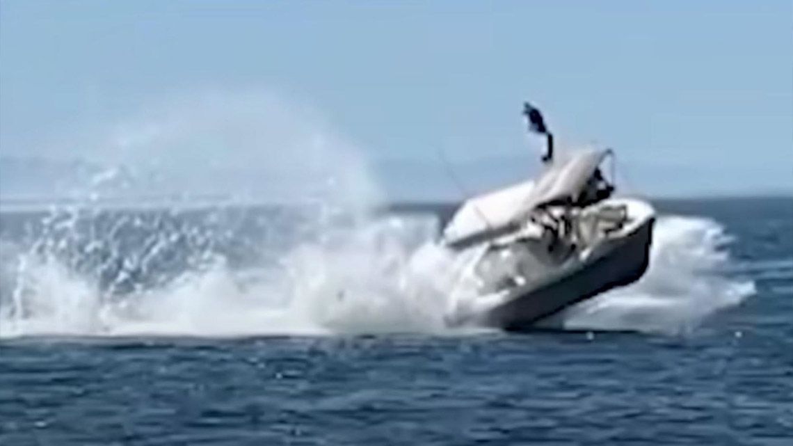 Un bote chocó contra una ballena y hubo varios heridos.