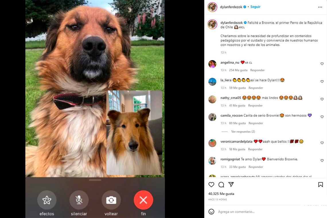 Dylan Fernández se mensajeó con Brownie, el perro del chileno Boric