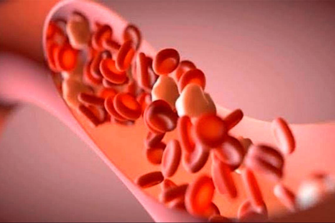 Por primera vez hallan microplásticos en el torrente sanguíneo humano