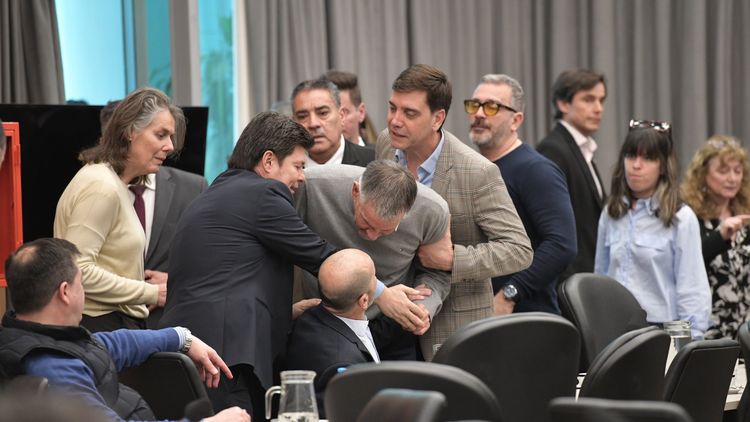 Pelea y tensión en dpituados entre Castagneto (UP) y Leone (LLA), (Foto: Redes)