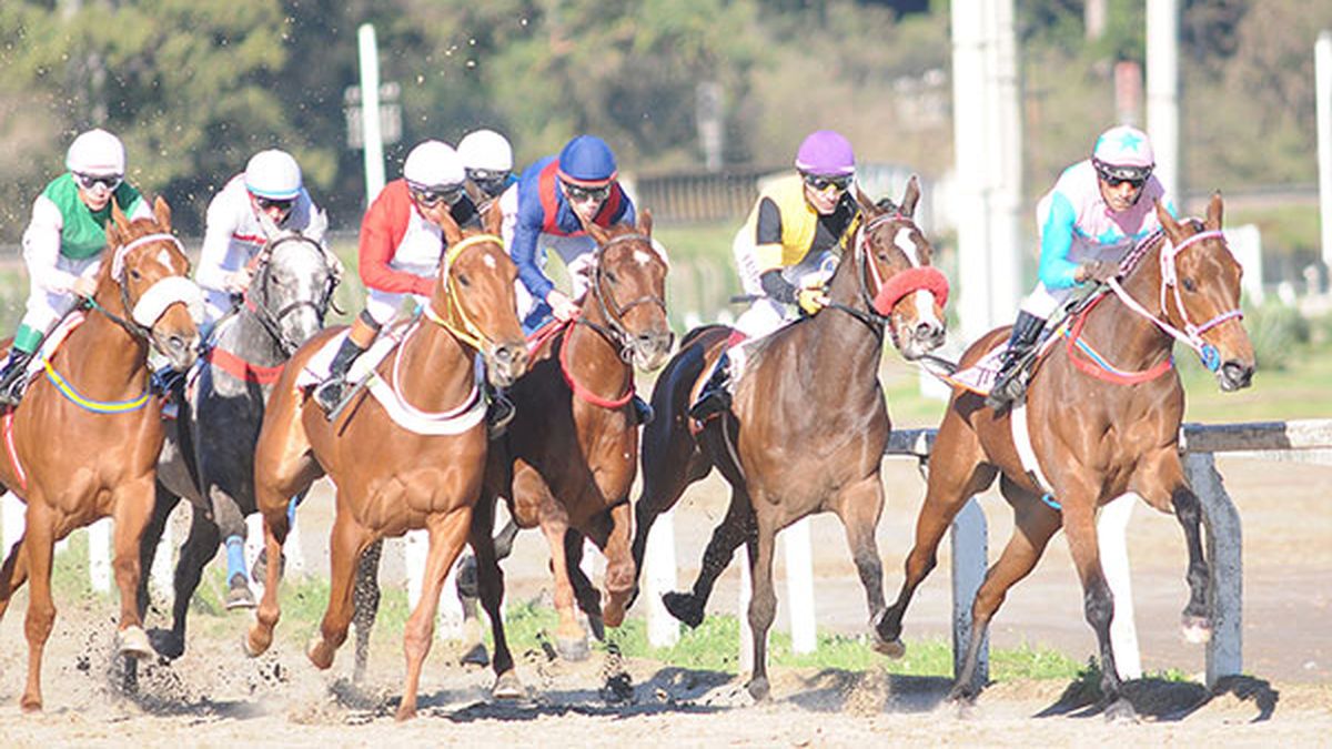 Resultados de ayer en Palermo