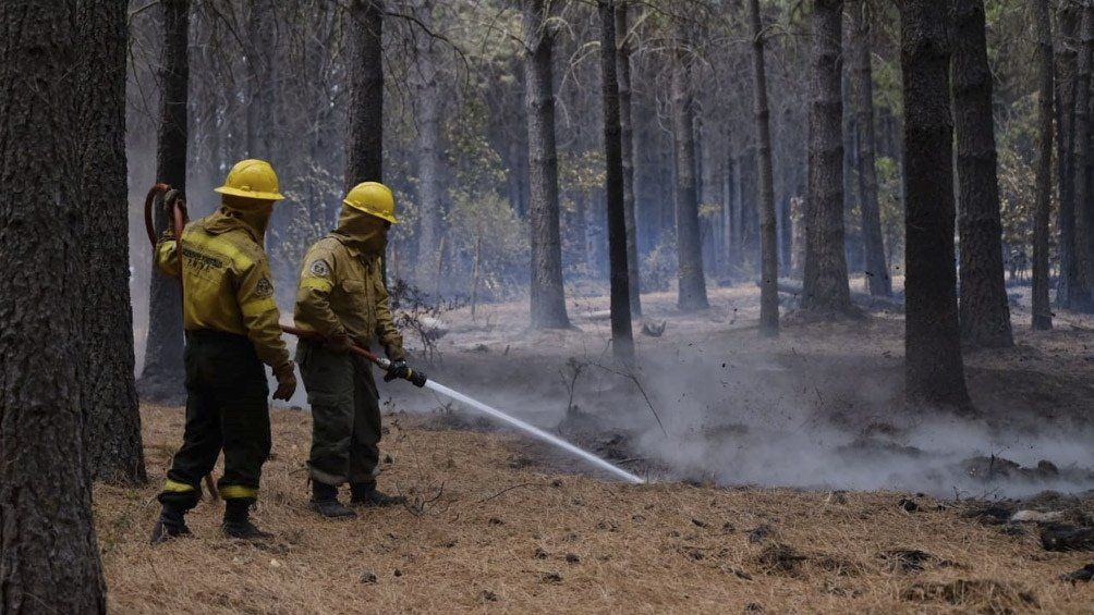 Incendios forestales en Esquel. 
