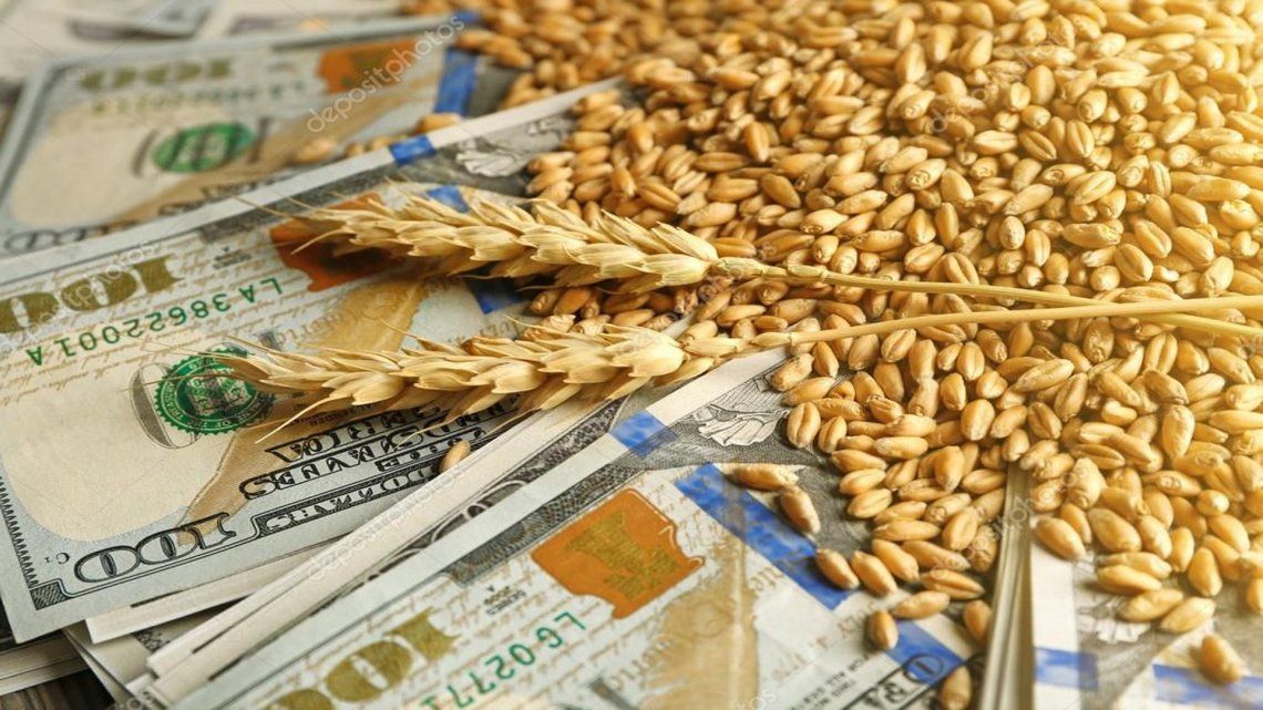 Exportaciones: se prevé récord en el trigo pese a la sequía