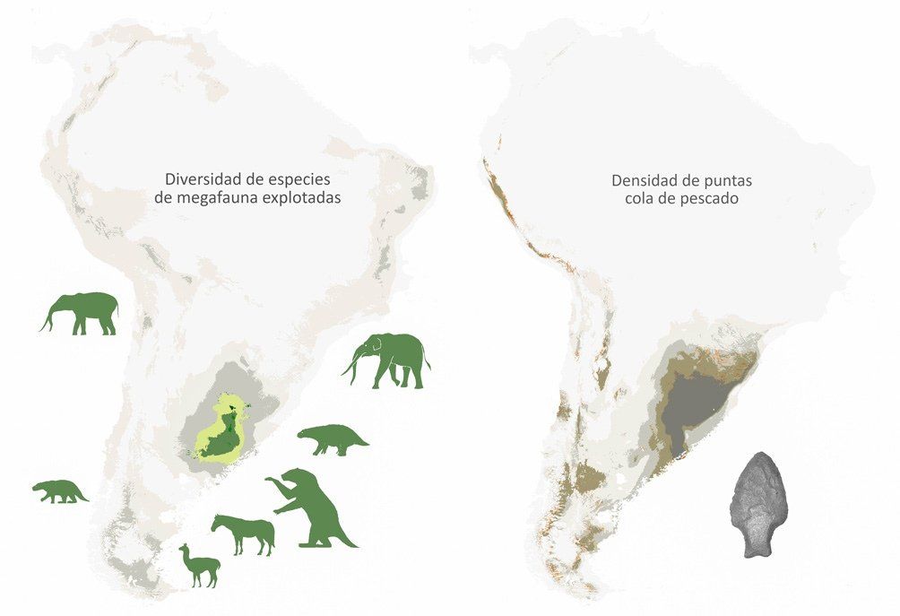 Investigadores argentinos plantean que la megafauna se extinguió por la depredación humana