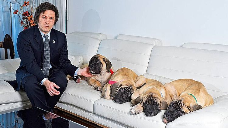 Javier Milei junto a sus perros clonados.