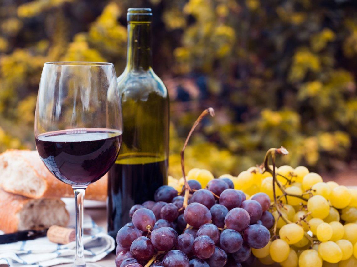 Día del vino: se celebra con más ventas y exportaciones