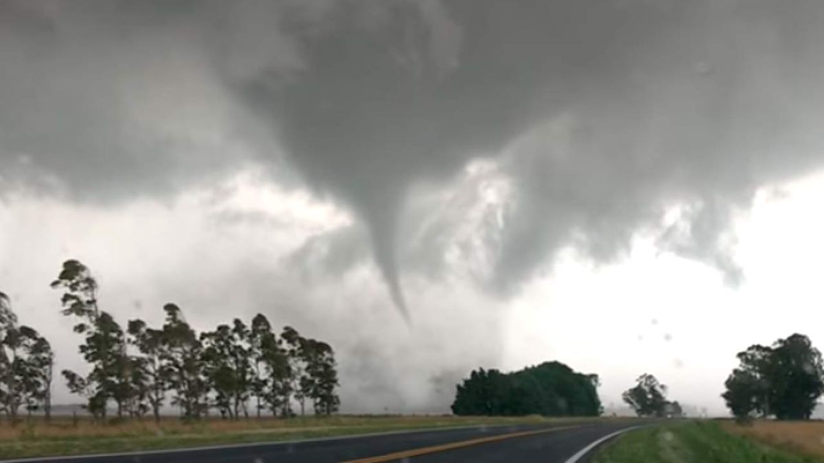 Tornado en Tandil: la angustiante huida de dos trabajadores rurales