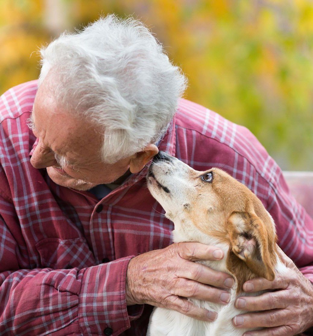 Mascotas reducen la sensación de soledad en los adultos mayores