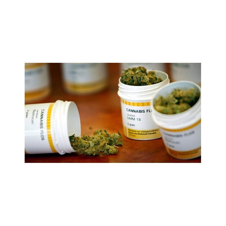 Médicos deben recetar cannabis a sus pacientes clandestinamente