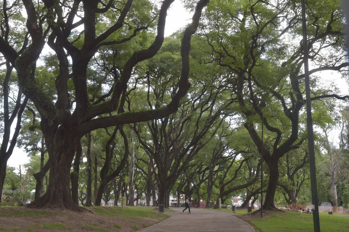 El importante aporte de flora del Parque de Patricios