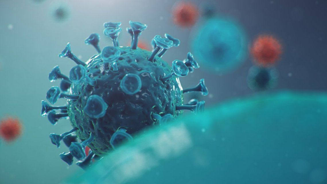 Coronavirus: detectaron variantes brasileñas en la Argentina