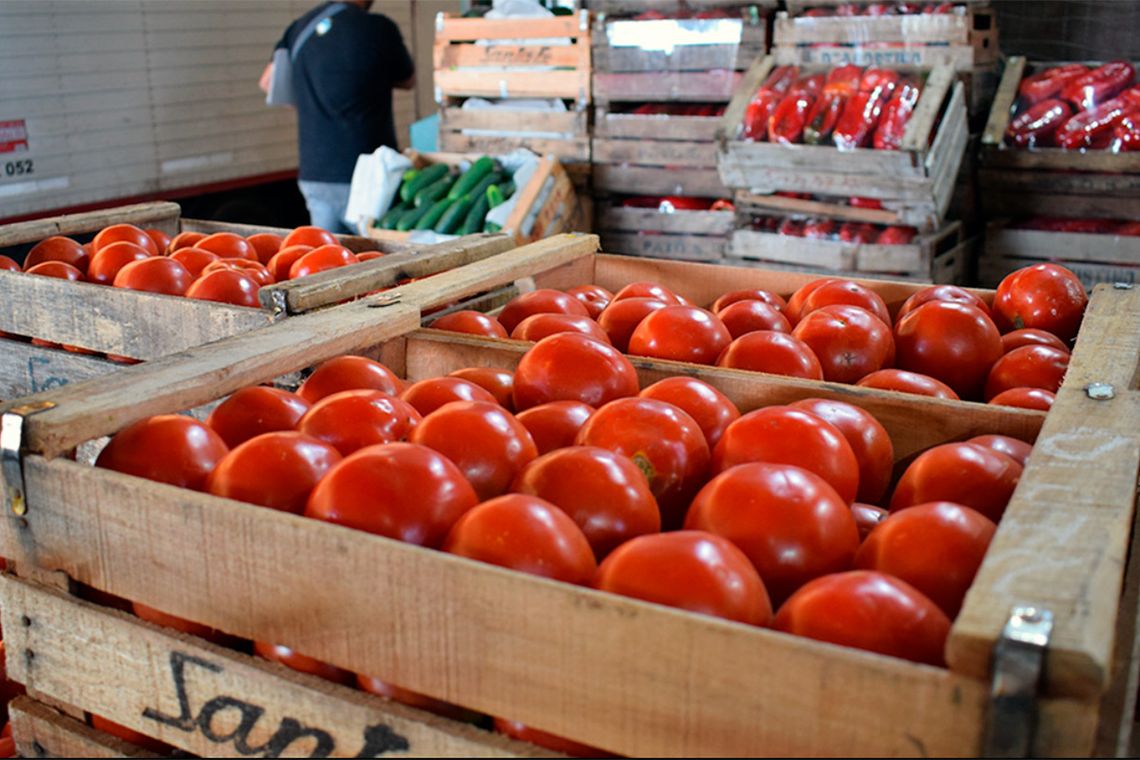 El precio de los tomates se disparó en el Mercado Central e impacta en la canasta básica.