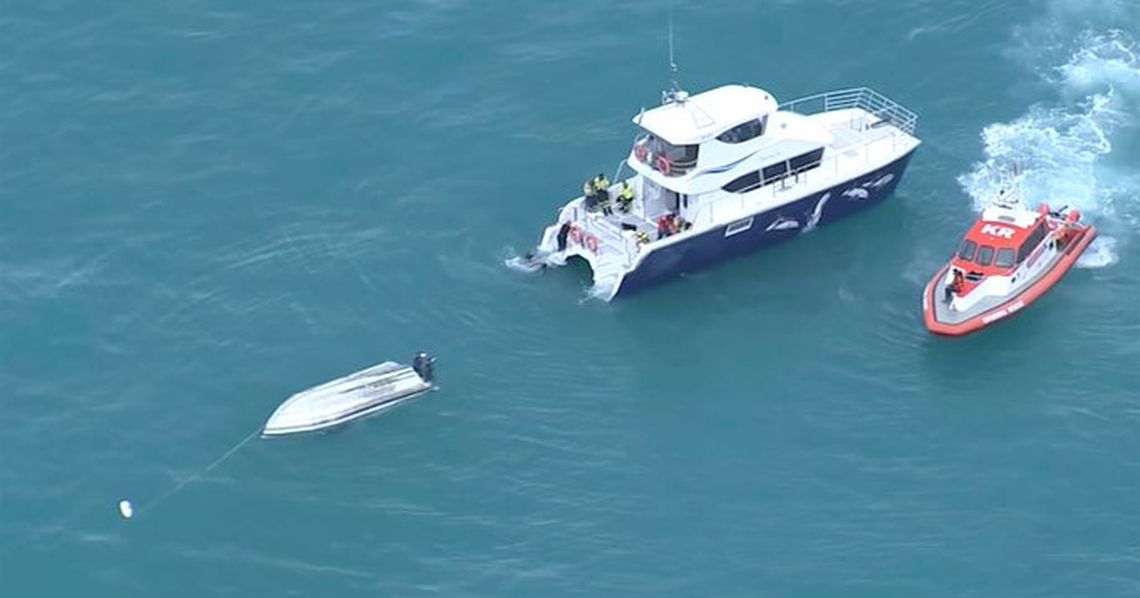Cinco muertos en Nueva Zelanda por choque de un barco con una ballena.
