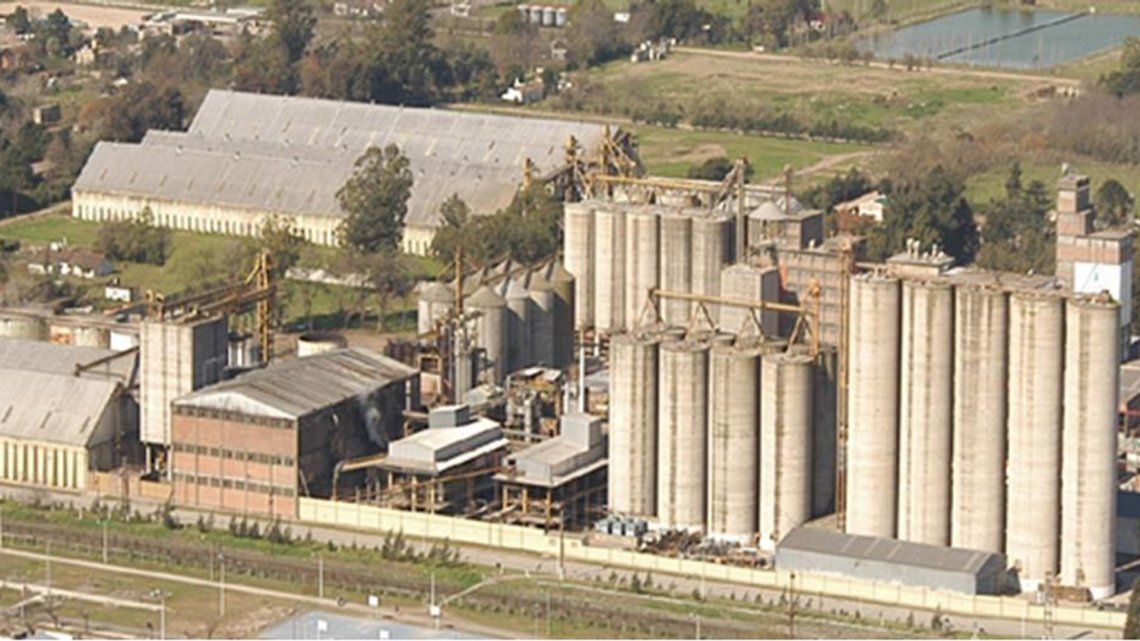 Molino Cañuelas actualmente opera 18 plantas industriales