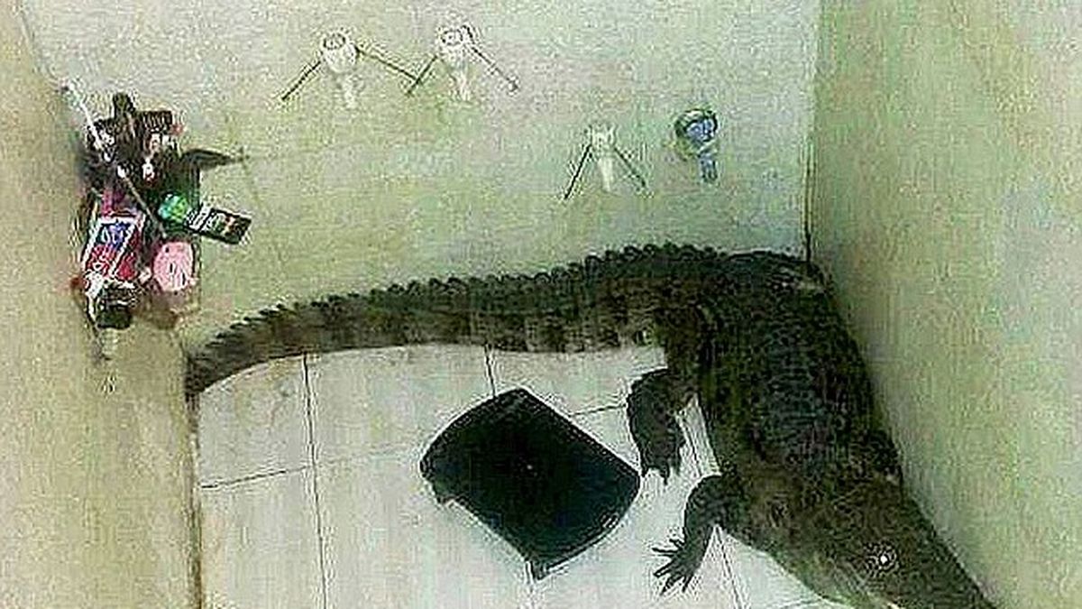 Fue al baño y se encontró con un enorme cocodrilo en la ducha