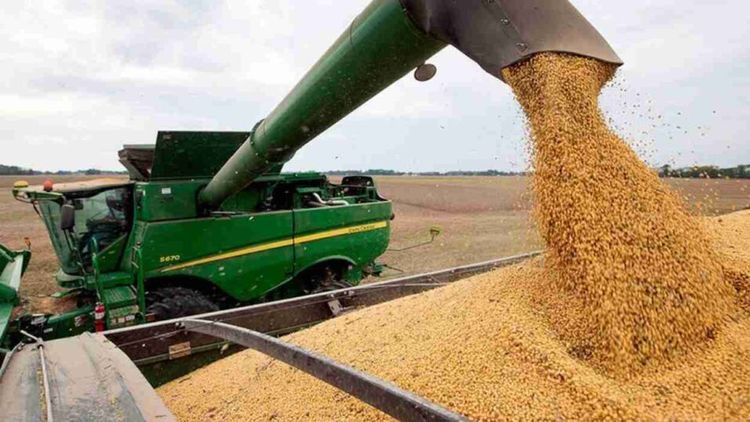 La economía creció 4,4% en 2025 y el Gobierno espera 5% para este año