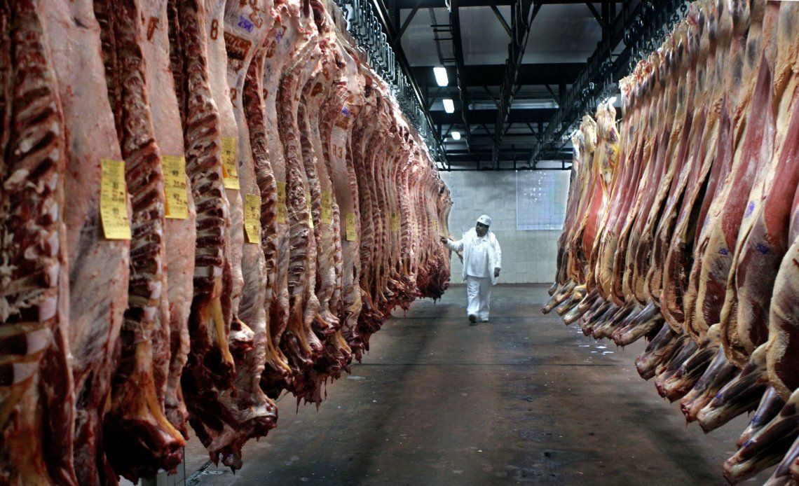 La limitación a la exportación de carne fue adoptada por el Gobierno a partir de las fuertes subas en el precio del producto a los consumidores.