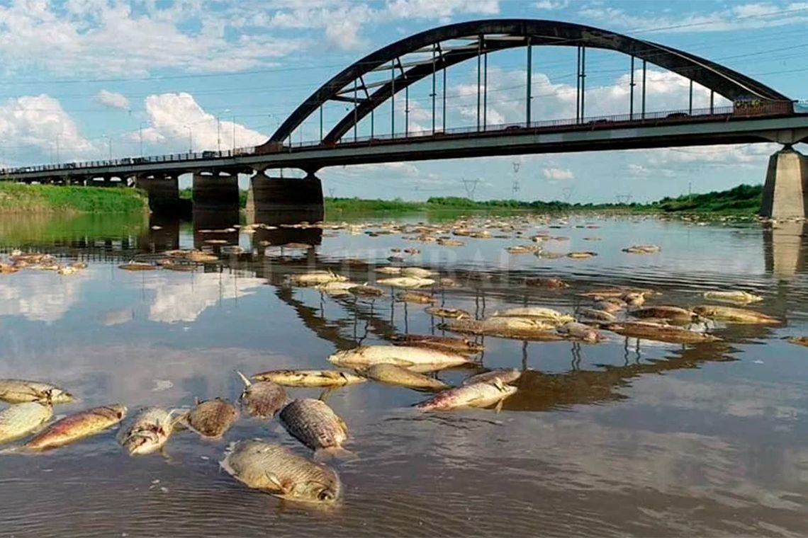 Agrotóxicos: piden no consumir peces del río Salado