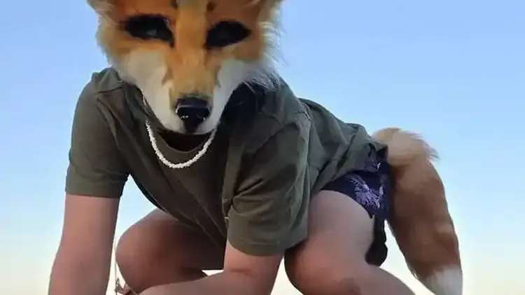 El hecho fue relatado por autoridades del Colegio de Veterinarios de San Luis.