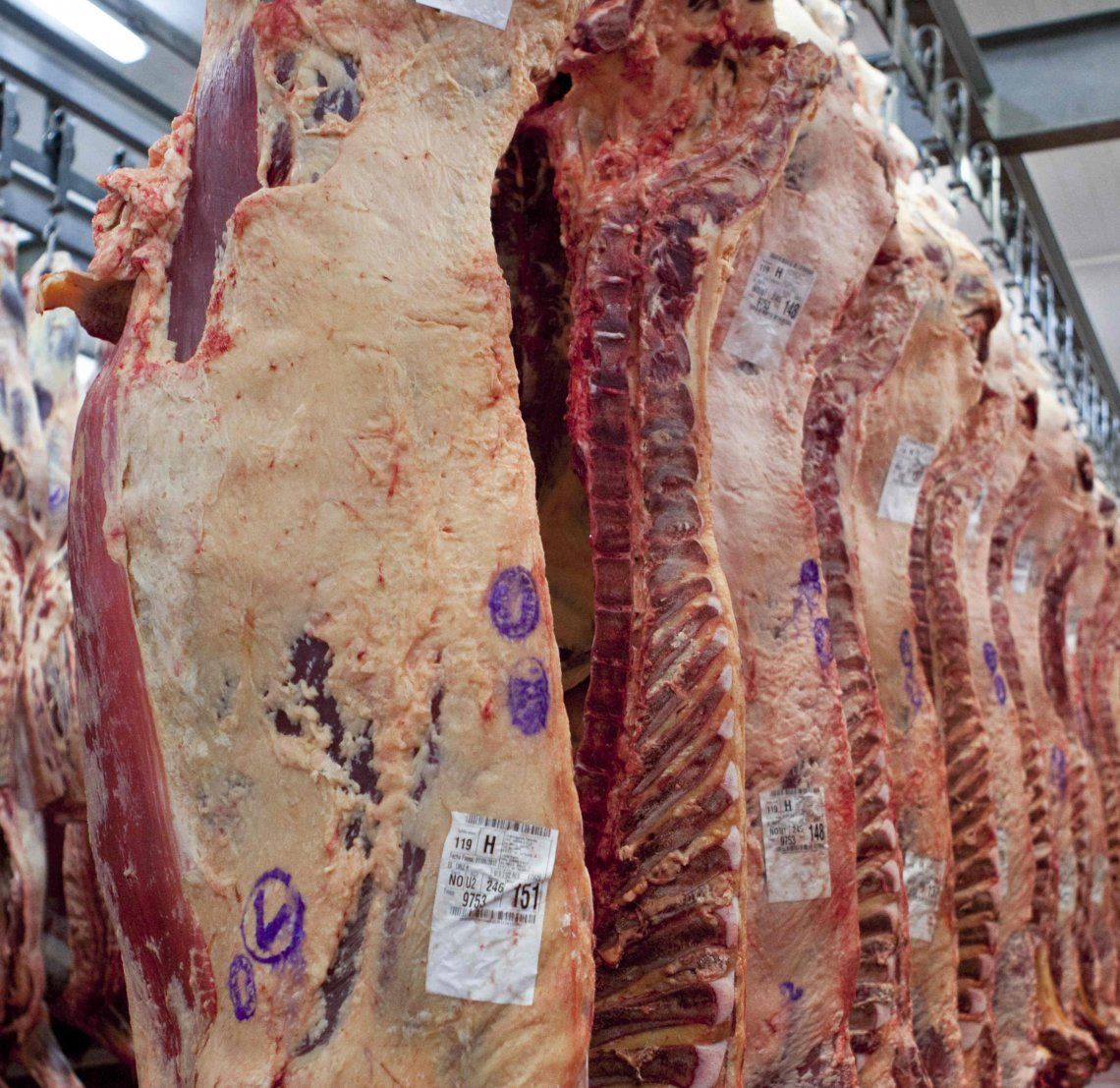 La exportación de carne vacuna argentina queda suspendida por 30 días.
