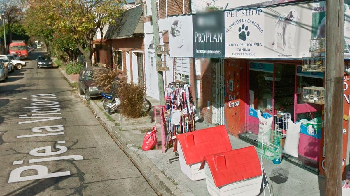 Secuestraron 100 especies protegidas en Vicente López