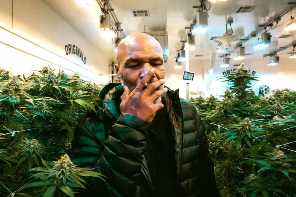 El ex boxeador Mike Tyson trabaja en un proyecto vinculado al cannabis