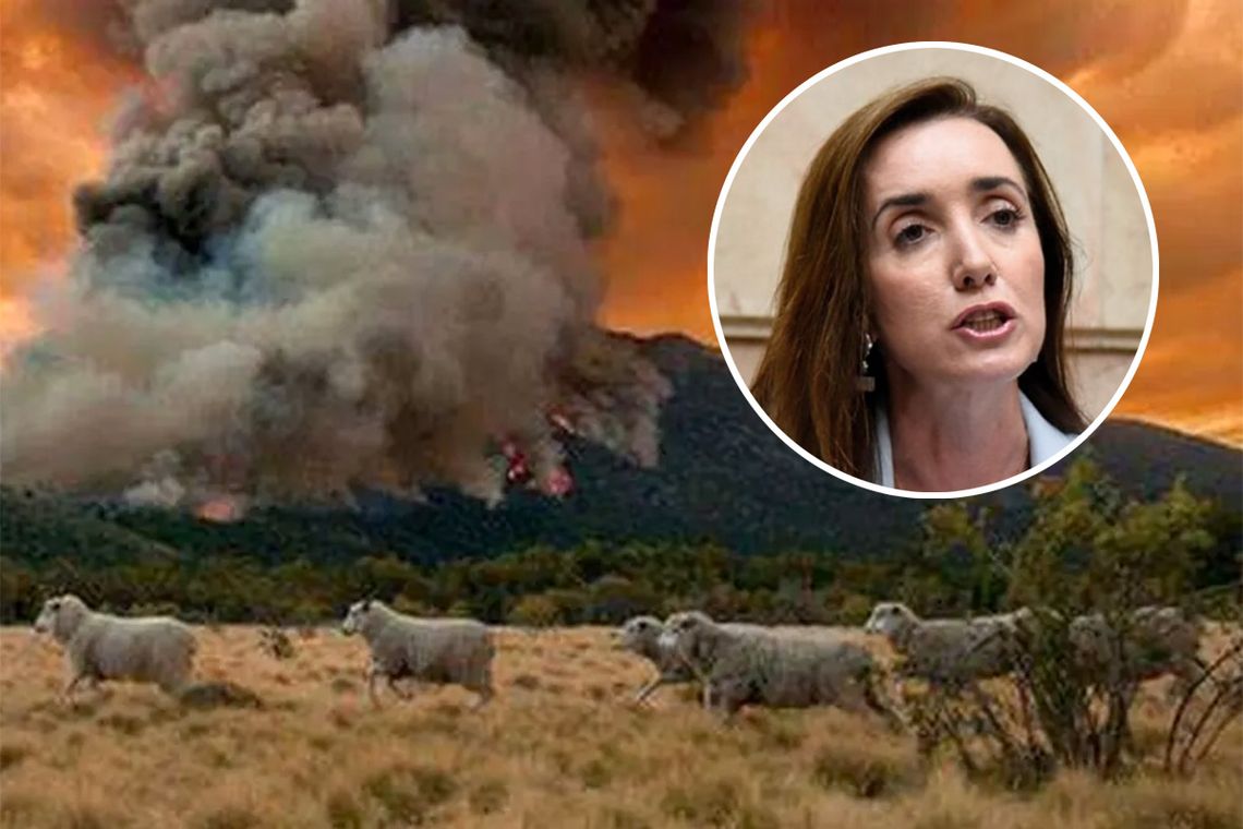 Victoria Villarruel dijo que sigue de cerca el tema de los incendios en Chubut.