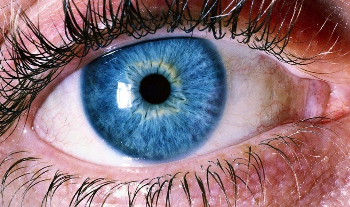 Las brasileñas importan semen de estadounidenses blancos y con ojos celestes