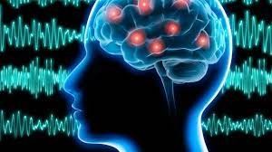 Epilepsia refractaria: las respuestas positivas del cannabis medicinal  superaron el 80% | Epilepsia, cannabis, Cannabis medicinal
