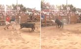 España: un periodista fue embestido por una vaca en vivo
