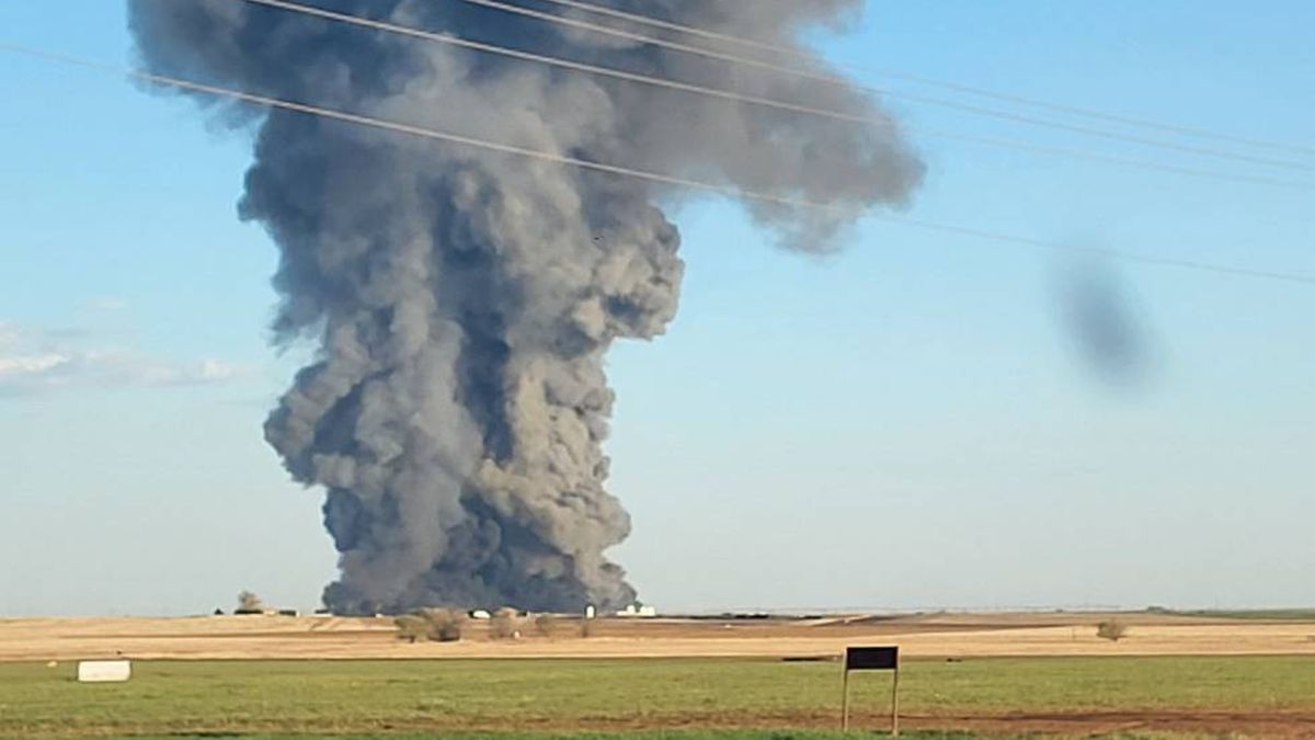 Una explosión mató a 18.000 vacas en Estados Unidos ¿Qué pasó?