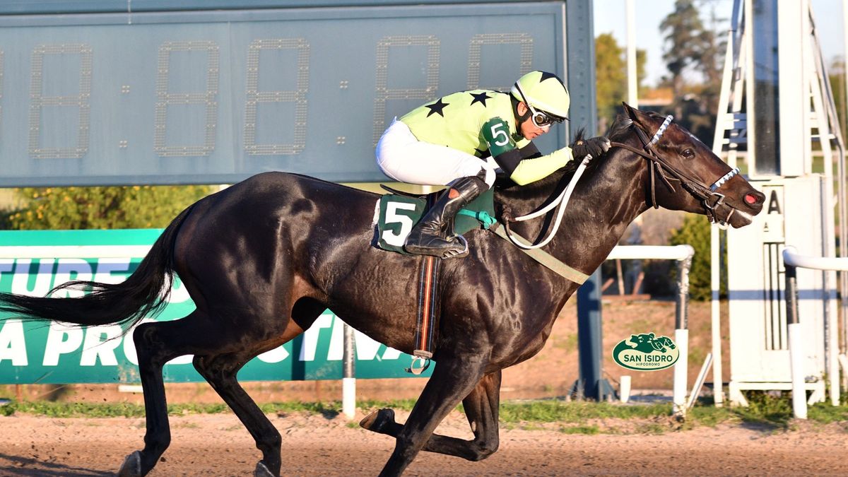 Programa de las carreras de hoy en el Hipódromo de San Isidro