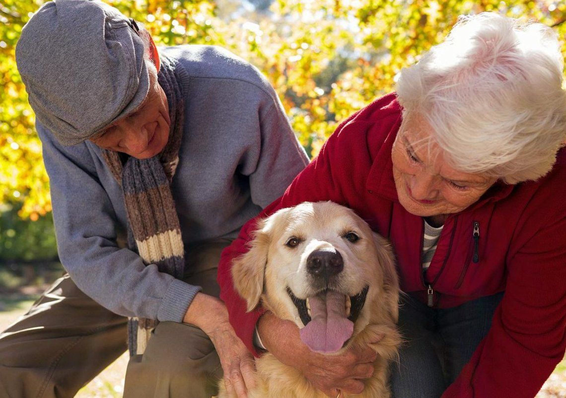 Cómo beneficia a las personas mayores tener una mascota