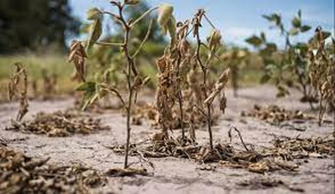 Hay 175 millones de hectáreas en riesgo de sequía en todo el país.