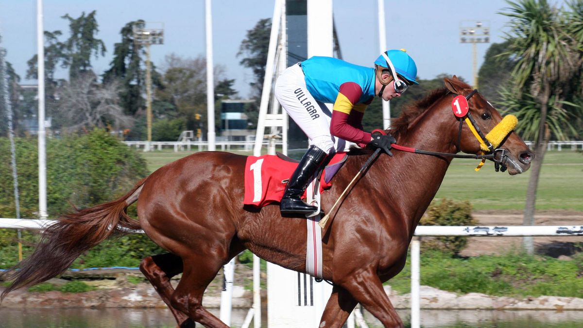 Todas las carreras de hoy en Palermo