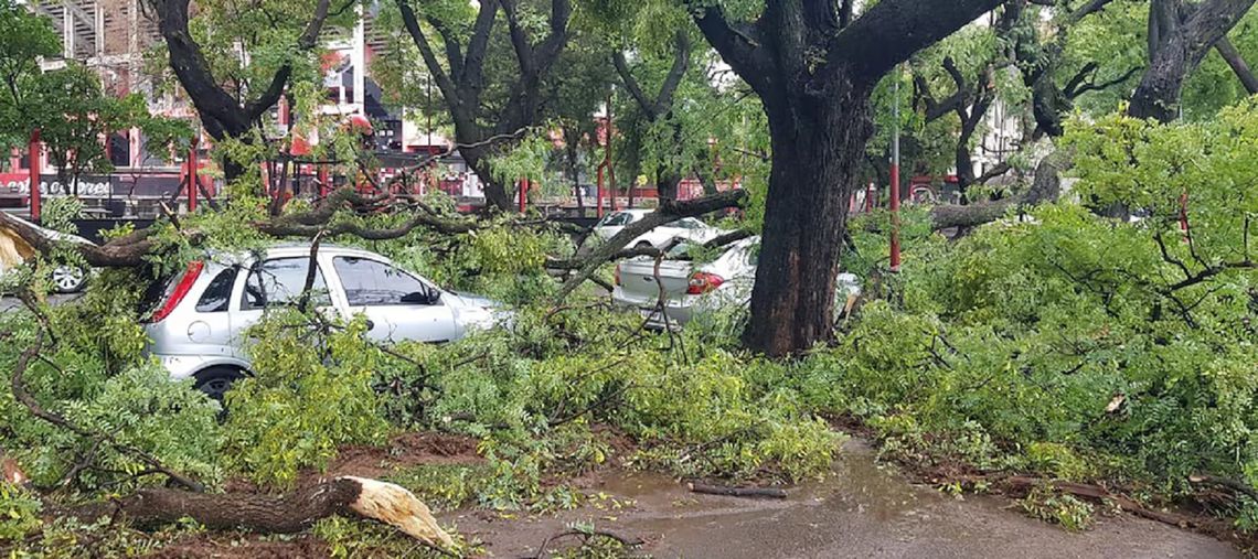 En Rosario este miércoles hubo ráfagas de viento que alcanzaron los 102 km/h.