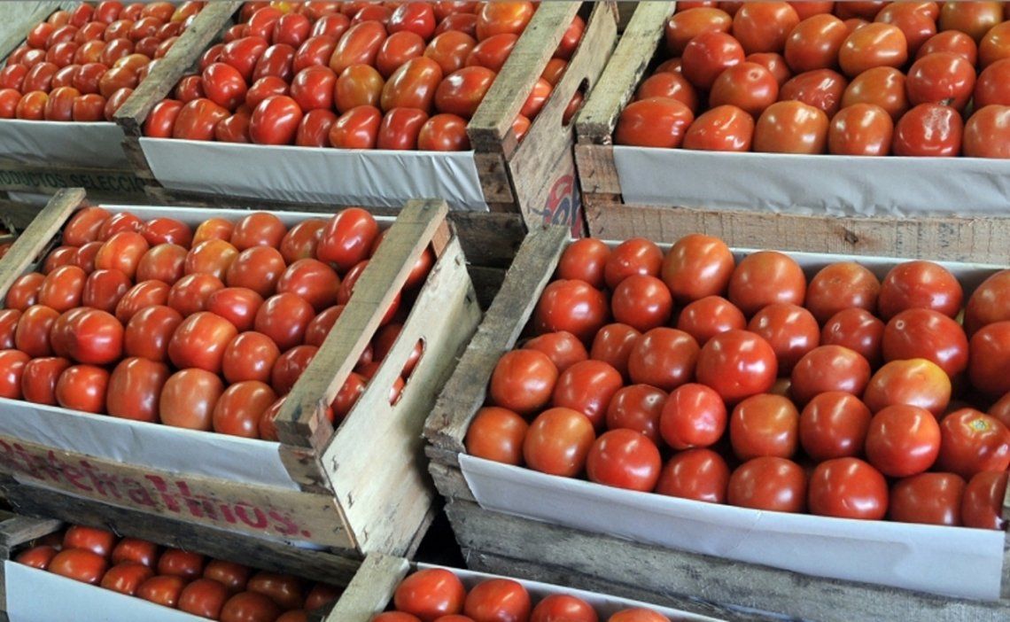 La inversión de septiembre fue el tomate: subió 51,4%