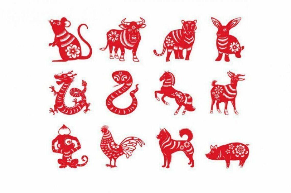 Consulta todo lo que tienen deparado los animales del horóscopo chino para vos en el día de la fecha.