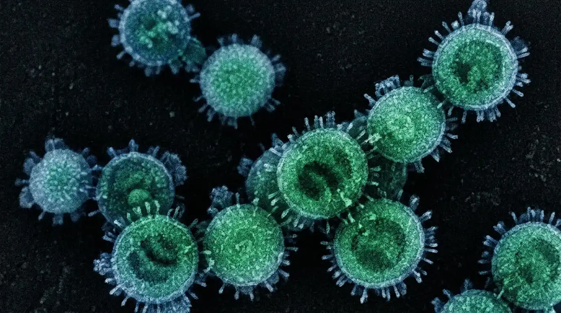 El Ministerio de Salud confirmó tres nuevos casos de hantavirus y mantiene el monitoreo epidemiológico en distintas provincias del país.