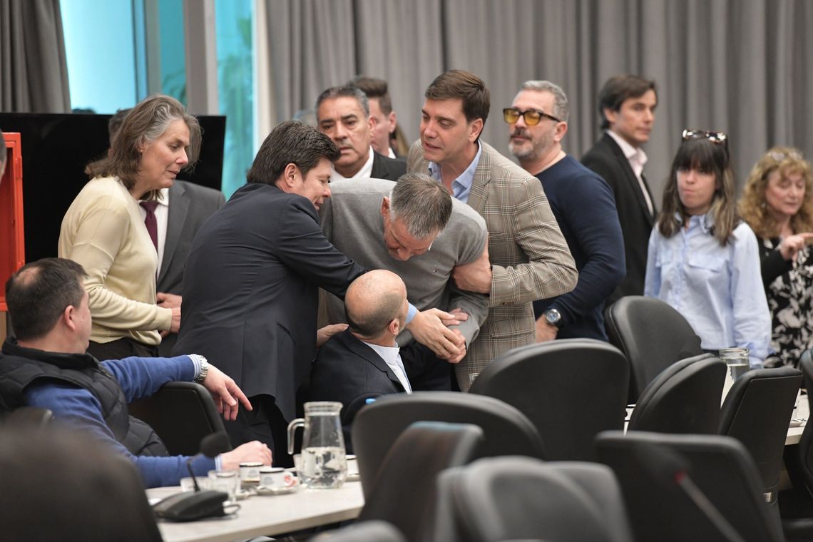 Pelea y tensión en dpituados entre Castagneto (UP) y Leone (LLA)