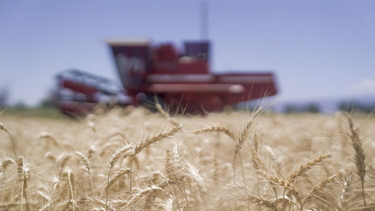 Desde el sector agroexportador lo califican como una señal por parte de las autoridades del gobierno nacional.