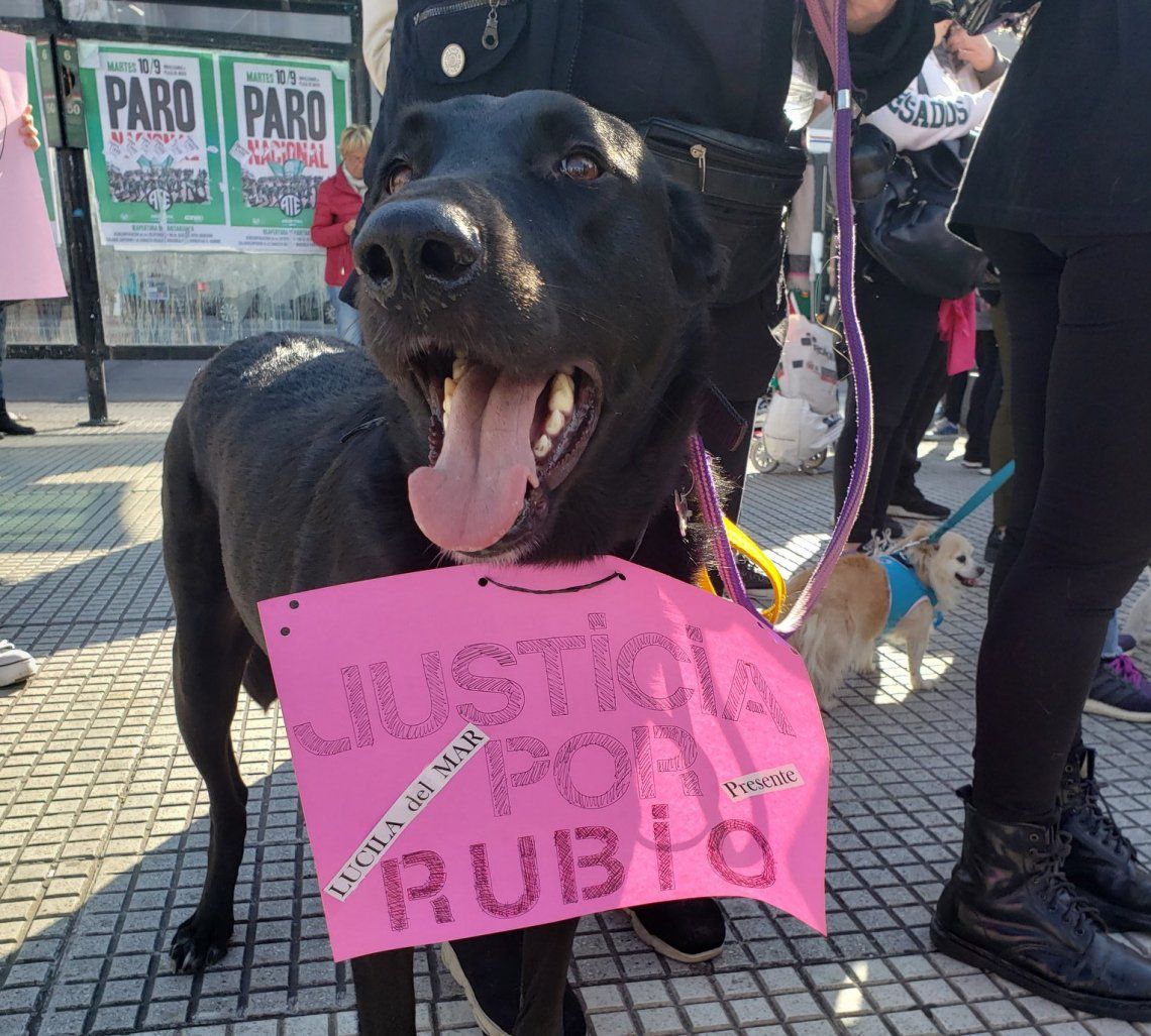Pancartas y protestas por Rubio