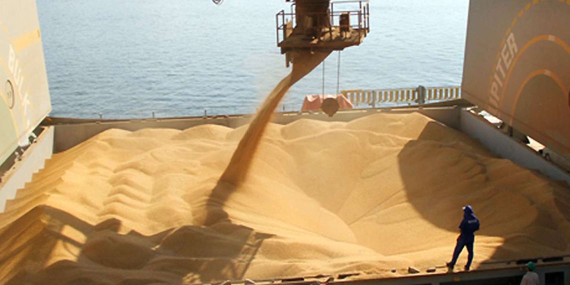 Aduanas denunció maniobras en la exportación de soja
