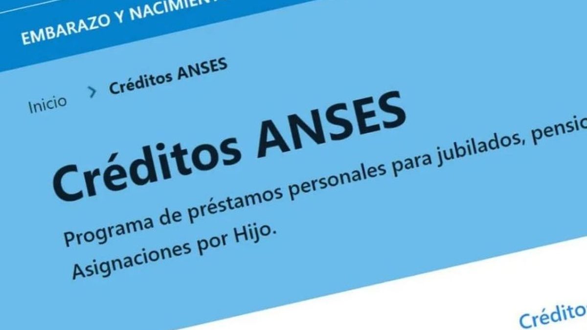 Créditos Anses ¿cómo Gestionarlos Cuáles Son Los Montos Y Quiénes Pueden Acceder 3604