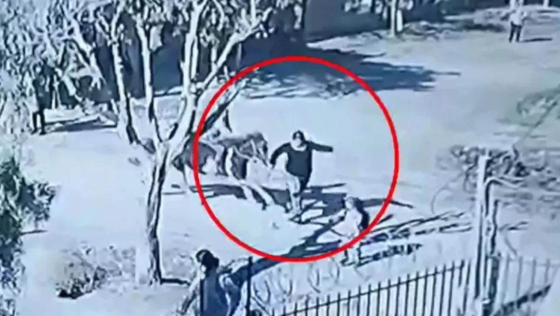 Monte Grande: un caballo atropelló a dos mujeres en la calle