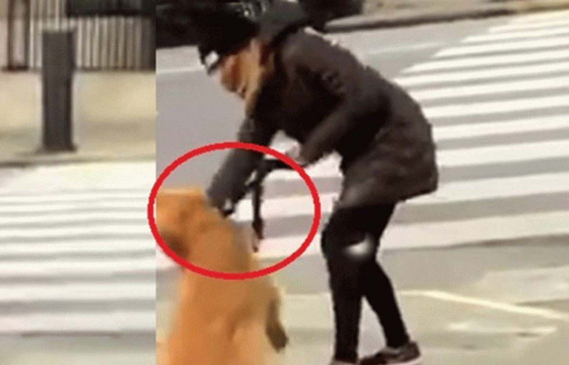 Maltrato animal: escrachan a la mujer que le dio una golpiza a su perro en plena calle