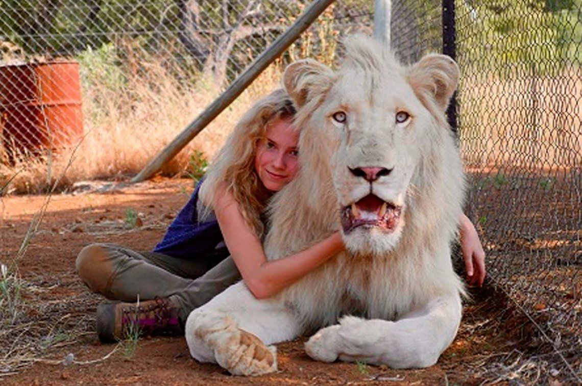 ¿Que hay para ver en el cine? | La crítica de Mi Mascota es un León: amistades salvajes