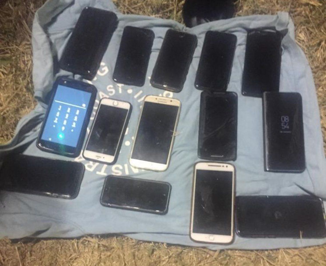 #LOLLAPALOOZA: detuvieron a dos hombres que robaban celulares de alta gama
